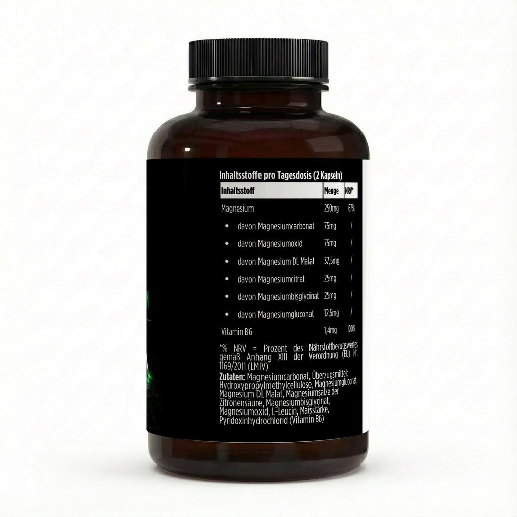 Magnesium 6x Komplex + B6 – 120 vegane Kapseln für Muskeln & Nerven